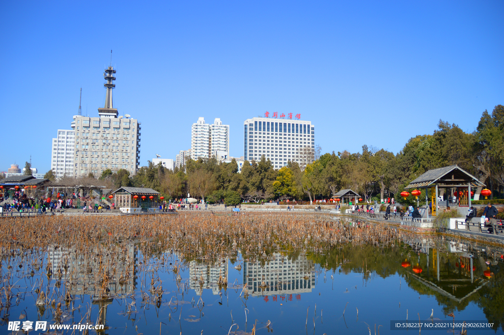 紫荆山公园荷花塘冬景