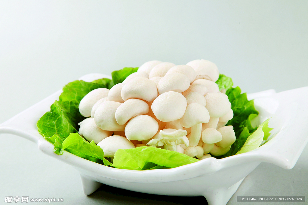 白玉菇
