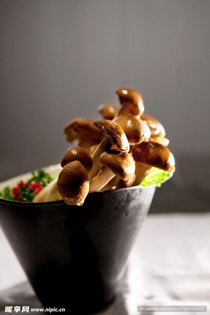 茶树菇
