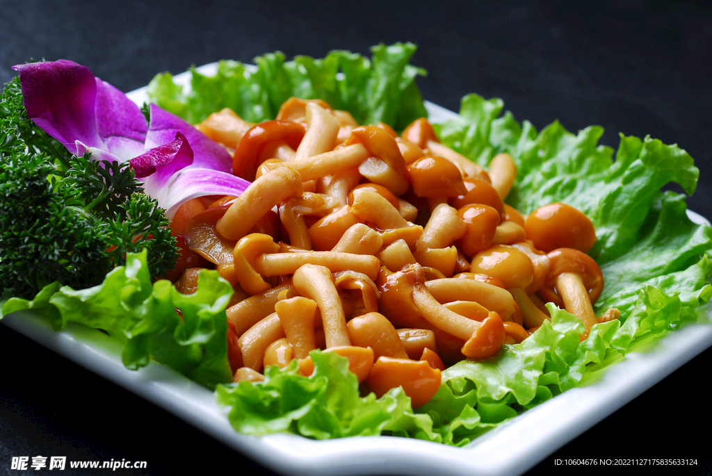 菌类滑菇