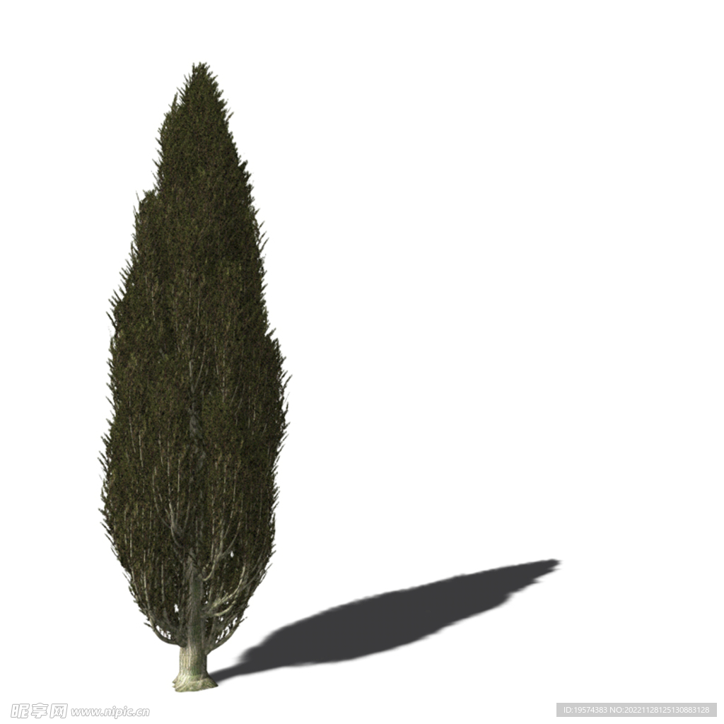 C4D模型 树木   