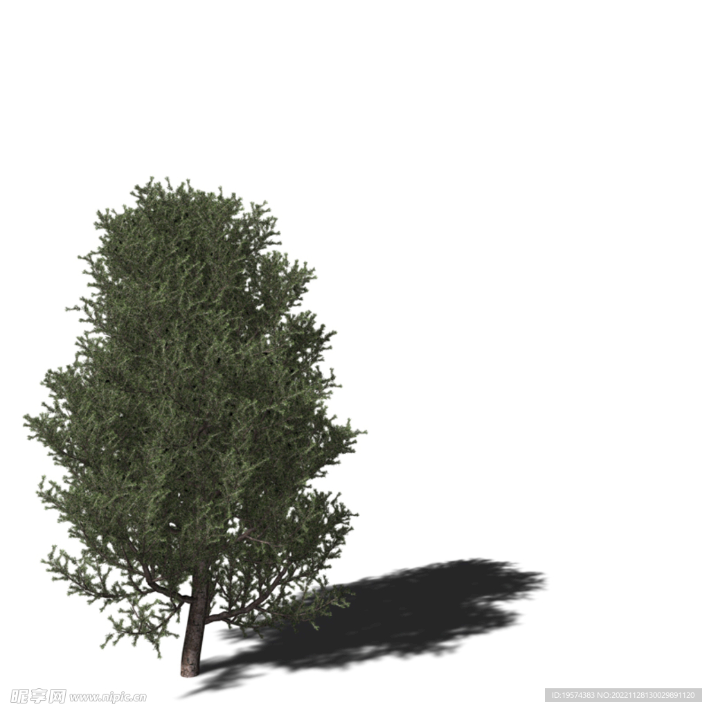 Cinema4D 树木 