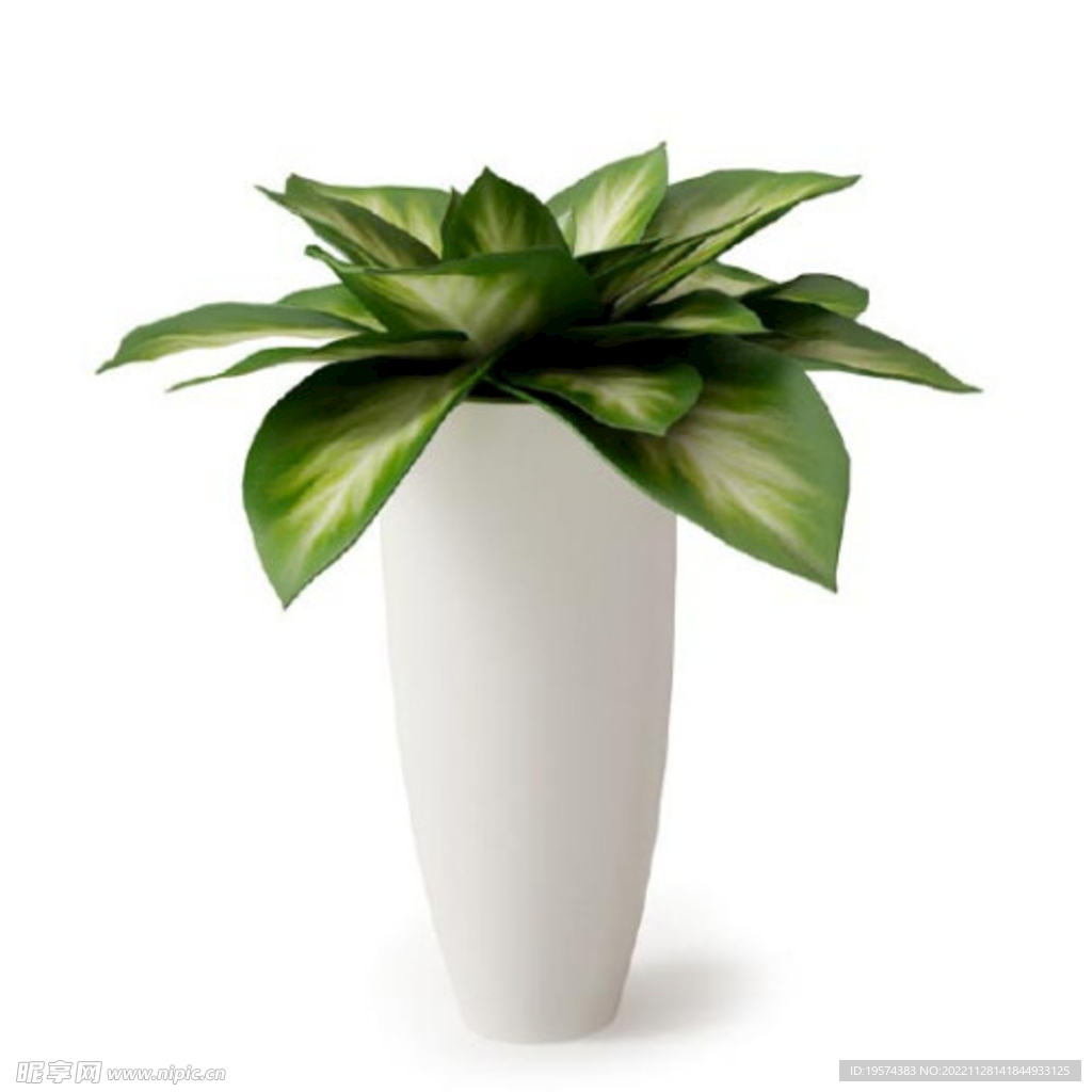 C4D模型  绿色植物 