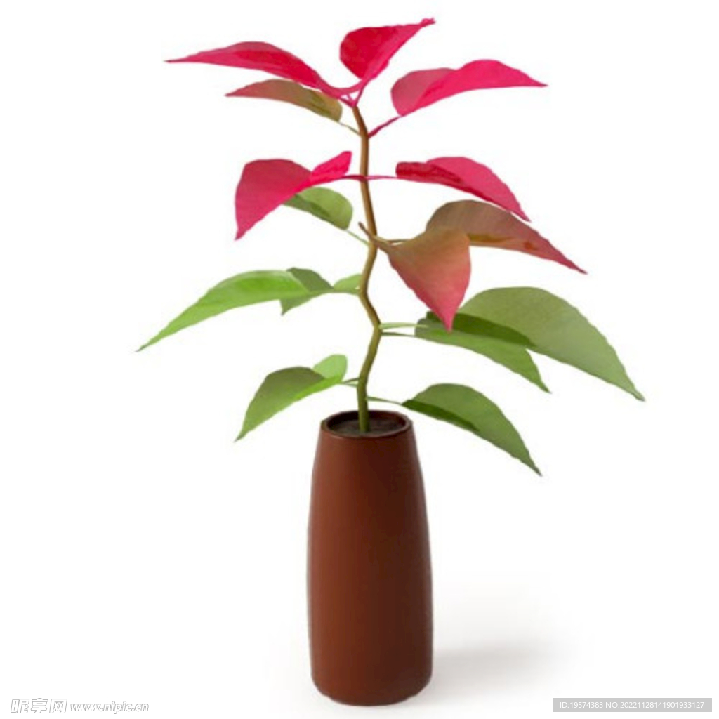 C4D模型 绿色植物