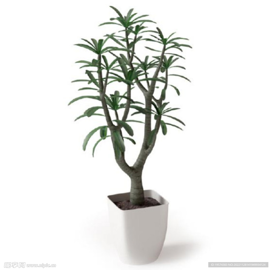 C4D模型 绿色植物 
