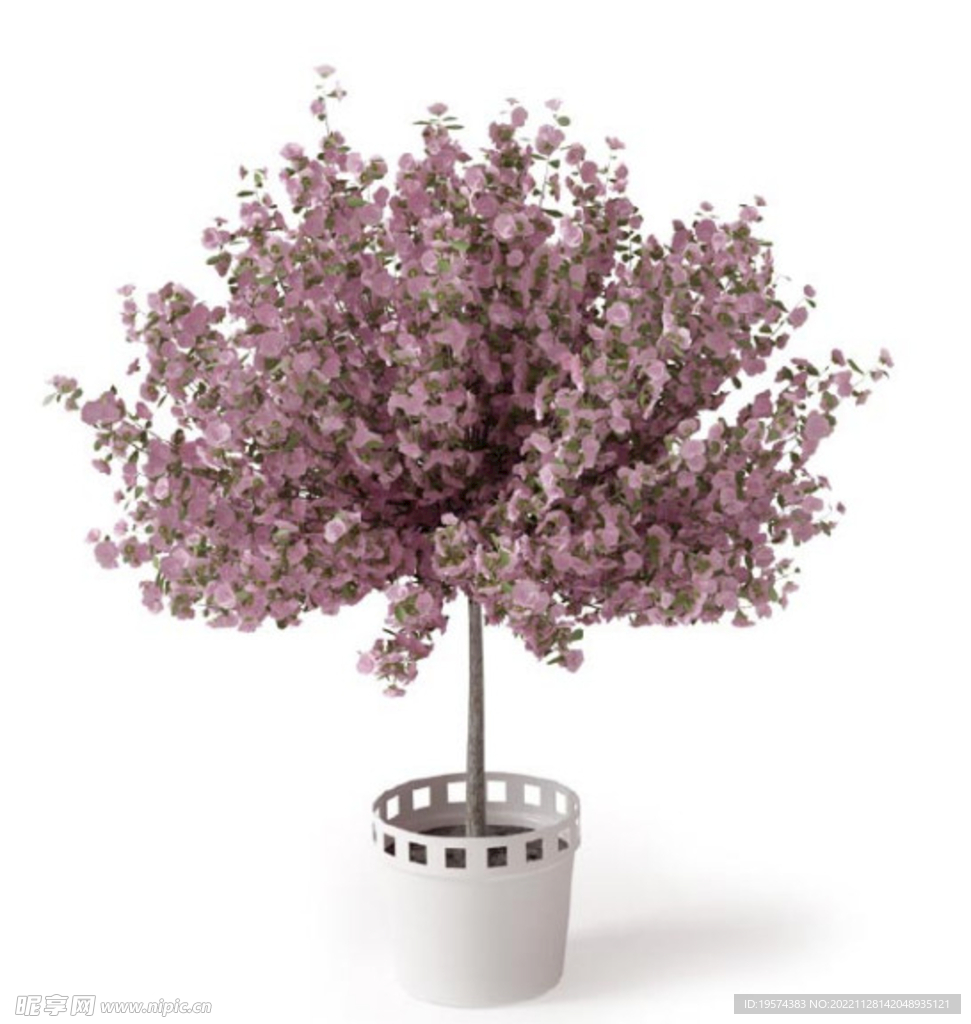 C4D模型 绿色植物 