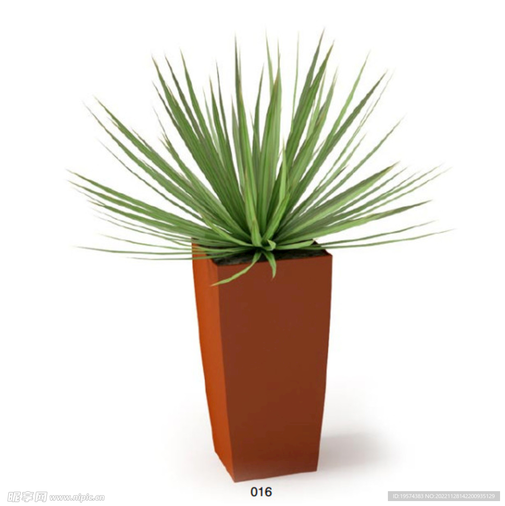 C4D模型 绿色植物 