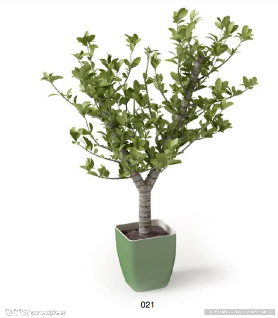 C4D模型 绿色植物 