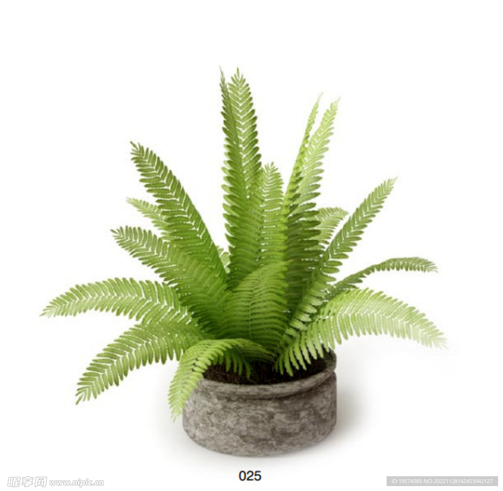 C4D模型 绿色植物 
