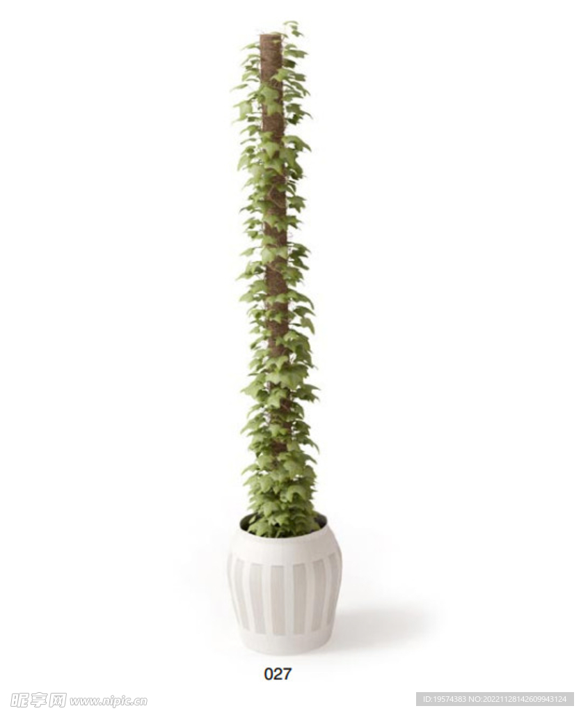 C4D模型 绿色植物 