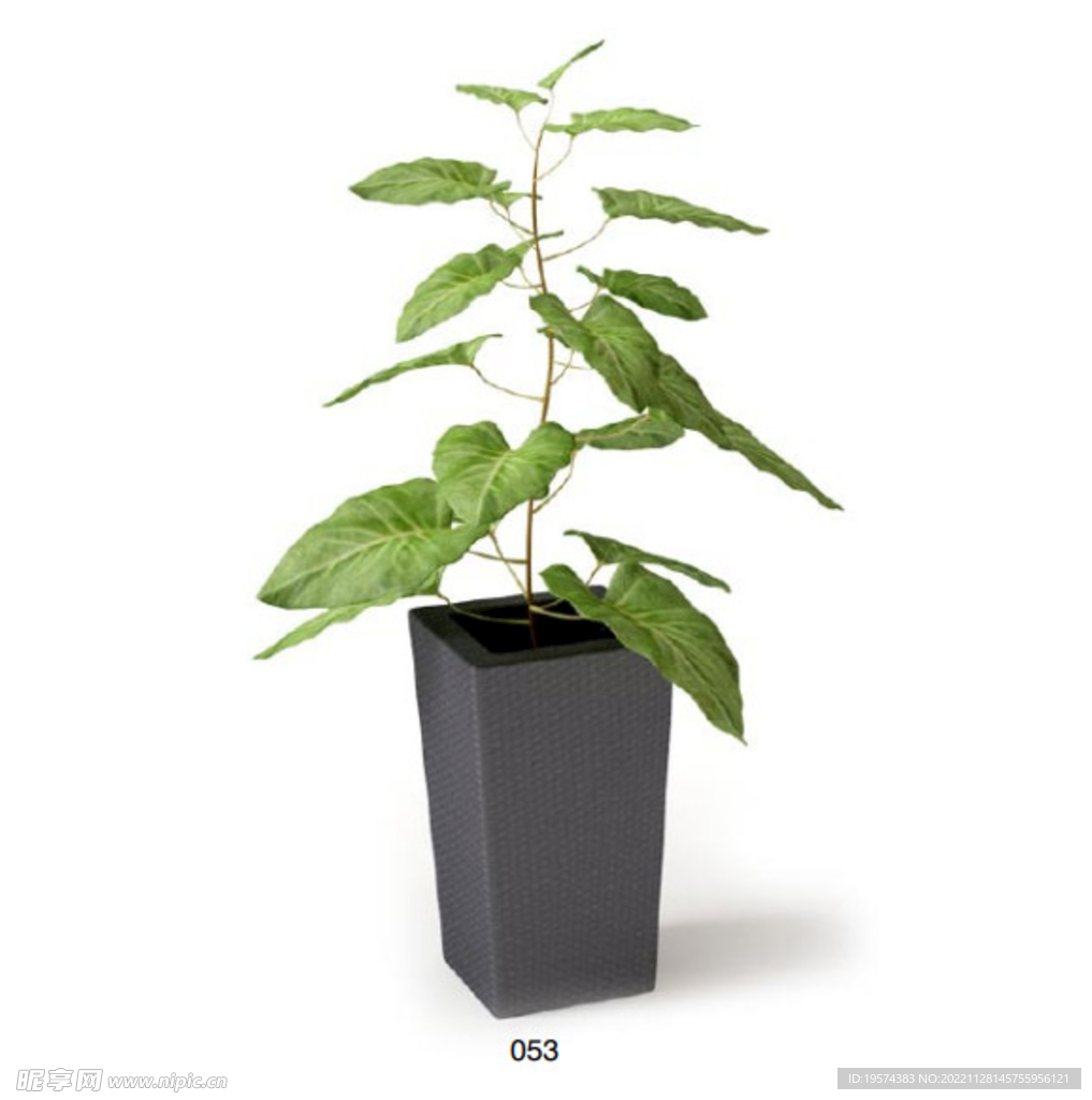 C4D模型 绿色植物 