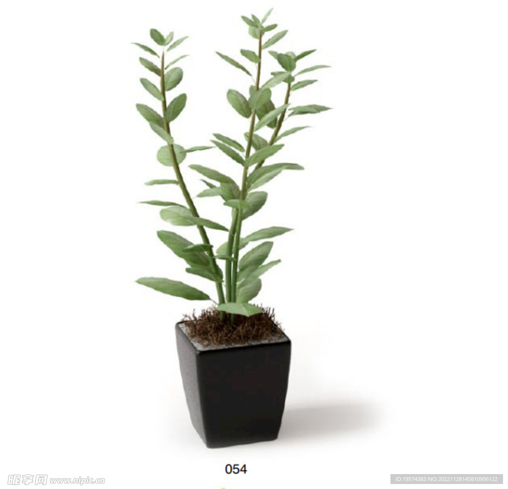 C4D模型 绿色植物 