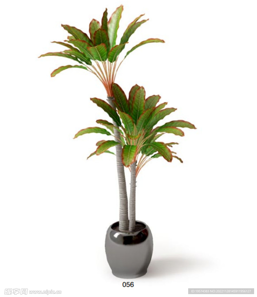 C4D模型 绿色植物 