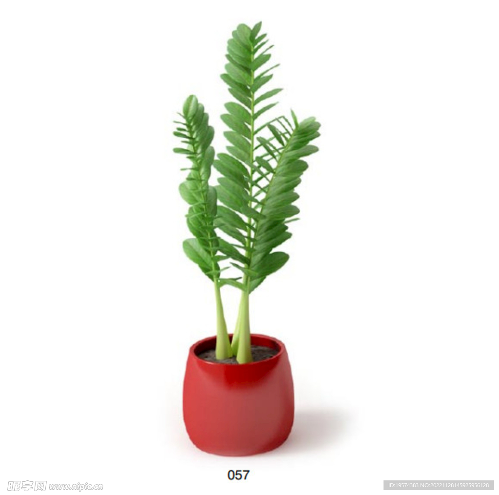 C4D模型 绿色植物 