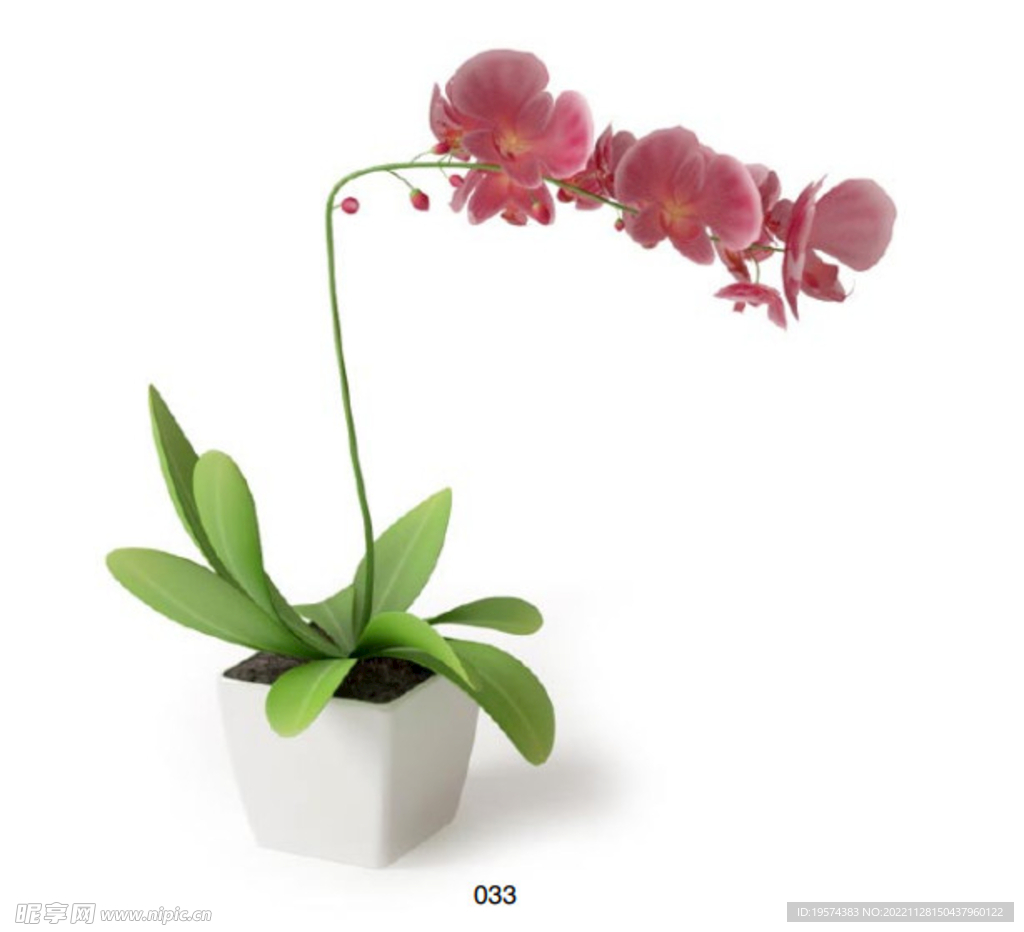 C4D模型 花