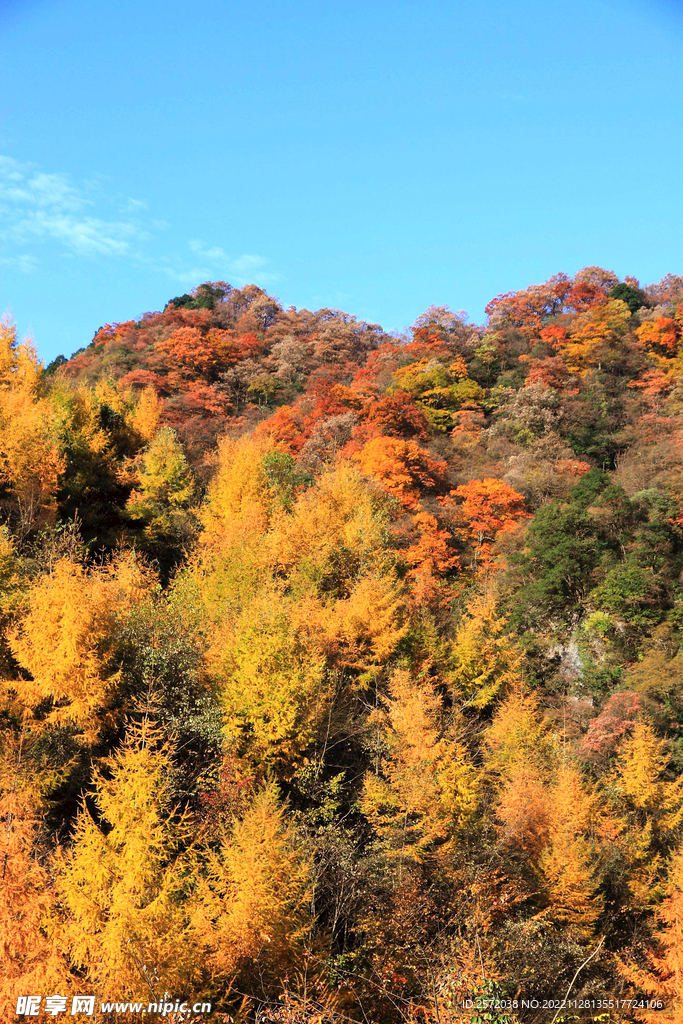 巴中光雾山风光