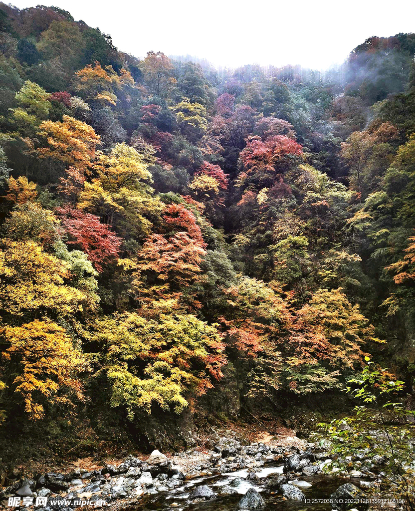 巴中光雾山风光