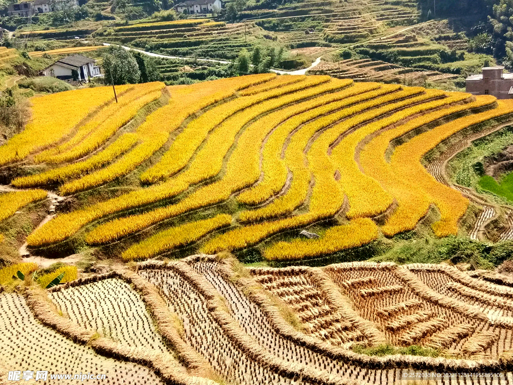 崇义上堡梯田风光