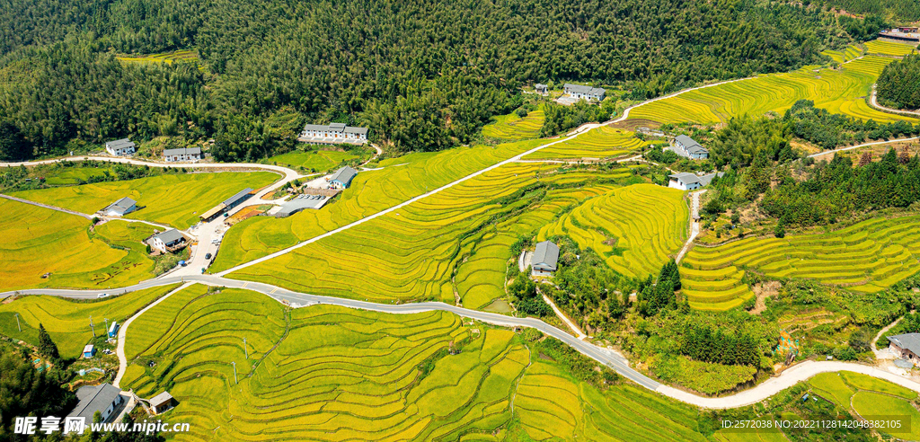 崇义上堡梯田风光