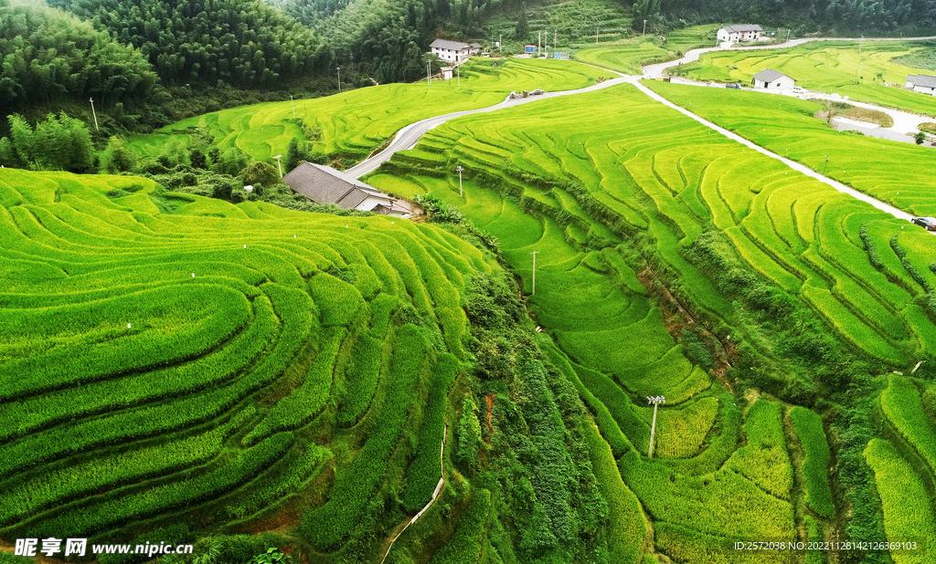 崇义上堡梯田风光