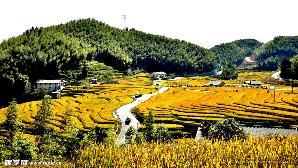 崇义上堡梯田风光