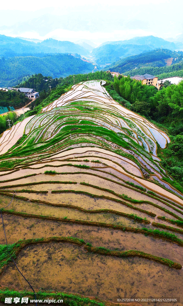 崇义上堡梯田风光