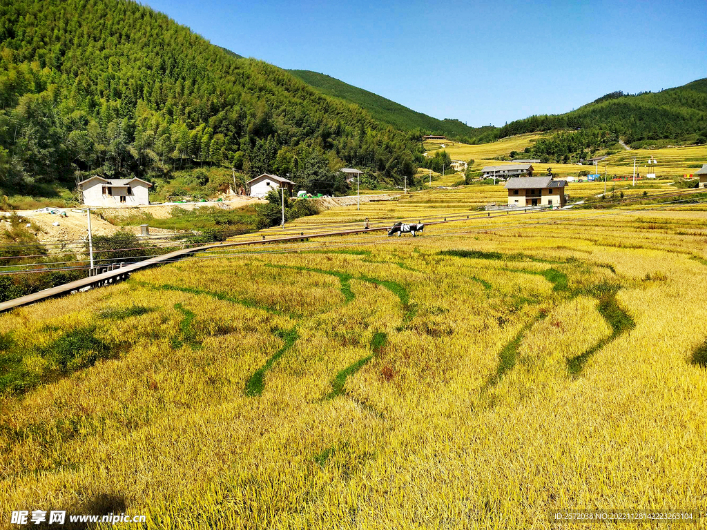 崇义上堡梯田风光
