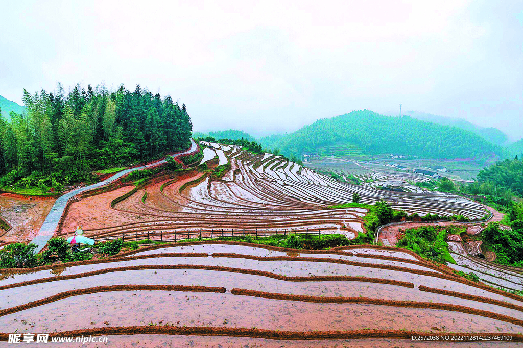 崇义上堡梯田风光