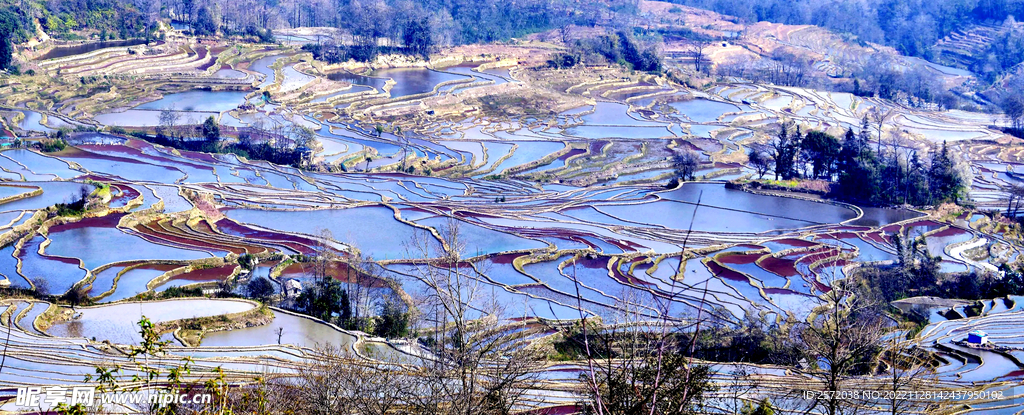 元阳哈尼梯田风光