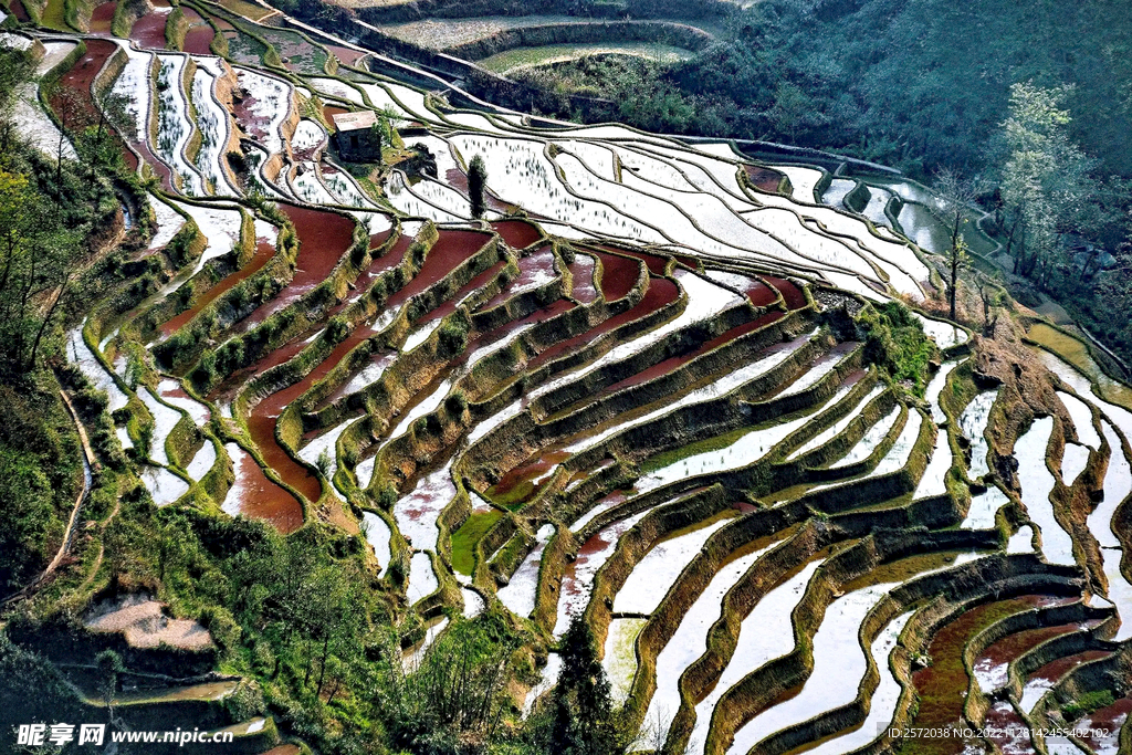 元阳哈尼梯田风光