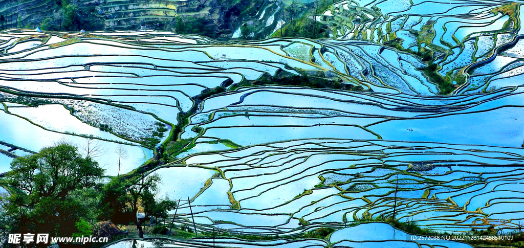 元阳哈尼梯田风光