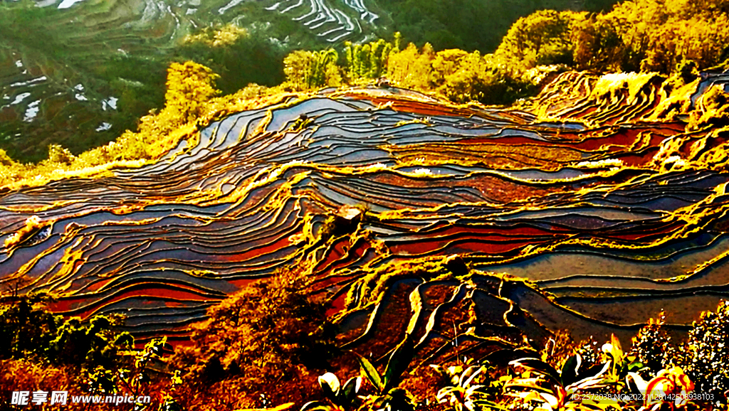 元阳哈尼梯田风光