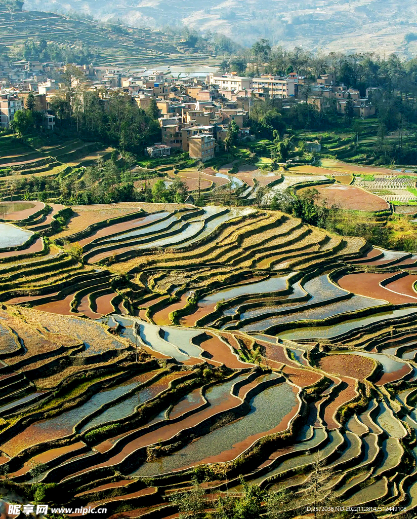 元阳哈尼梯田风光