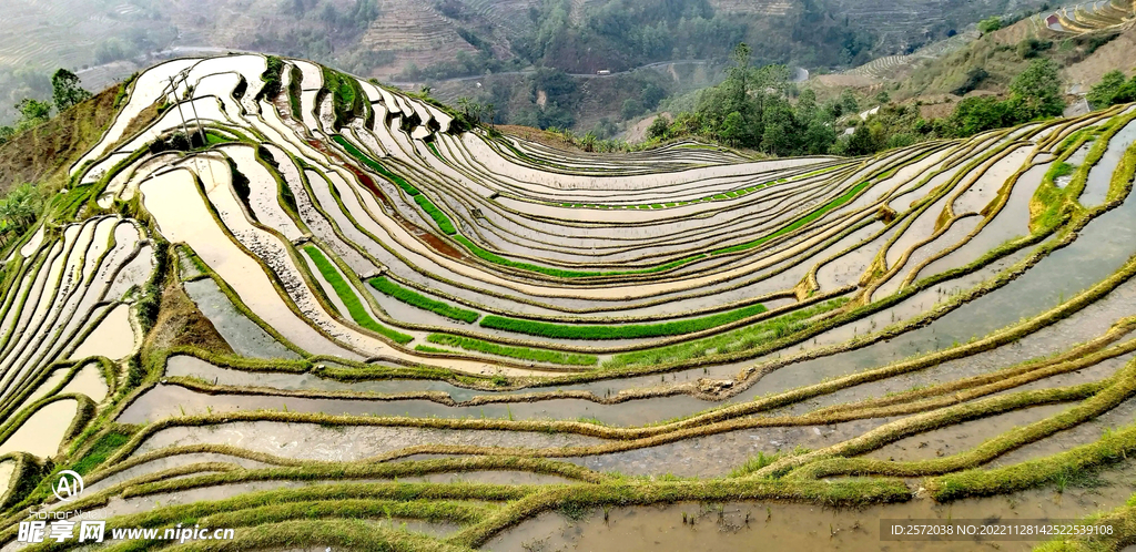 元阳哈尼梯田风光