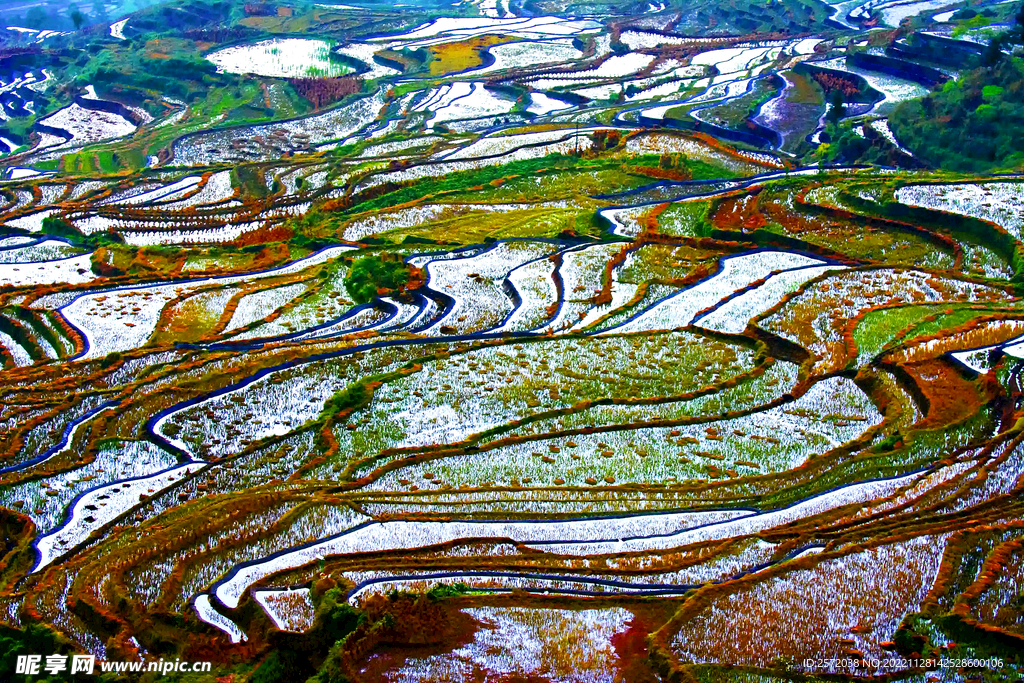 元阳哈尼梯田风光