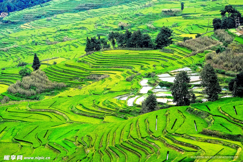 元阳哈尼梯田风光