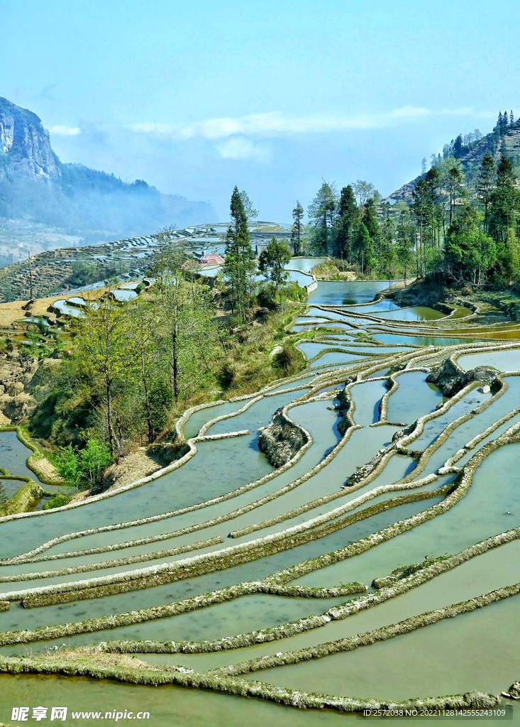 元阳哈尼梯田风光