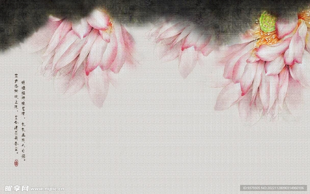 荷花背景墙