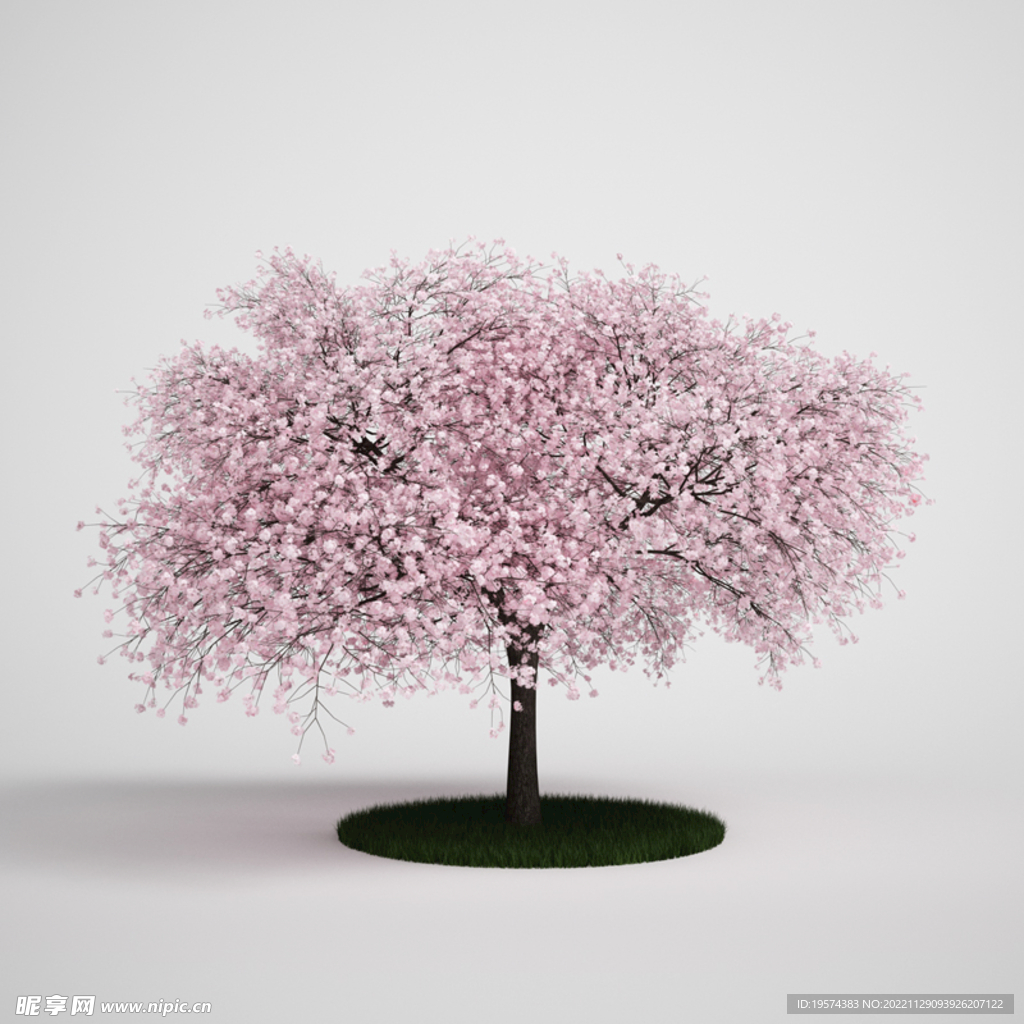 C4D模型 树木  
