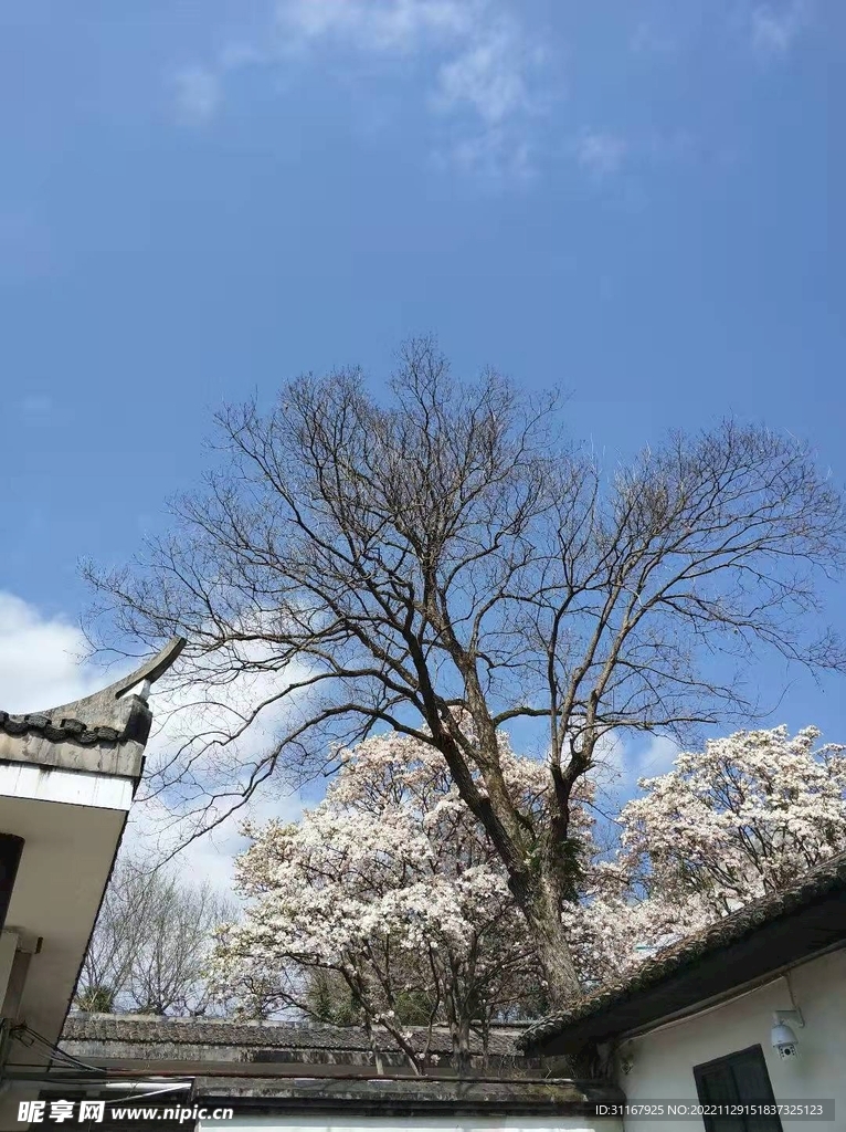 长汀风景