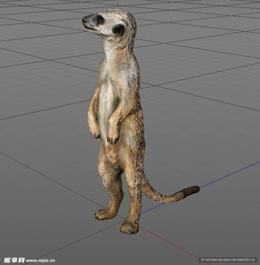 C4D模型猫鼬