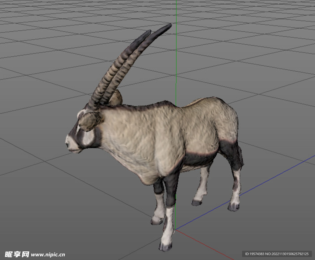 C4D模型羚羊