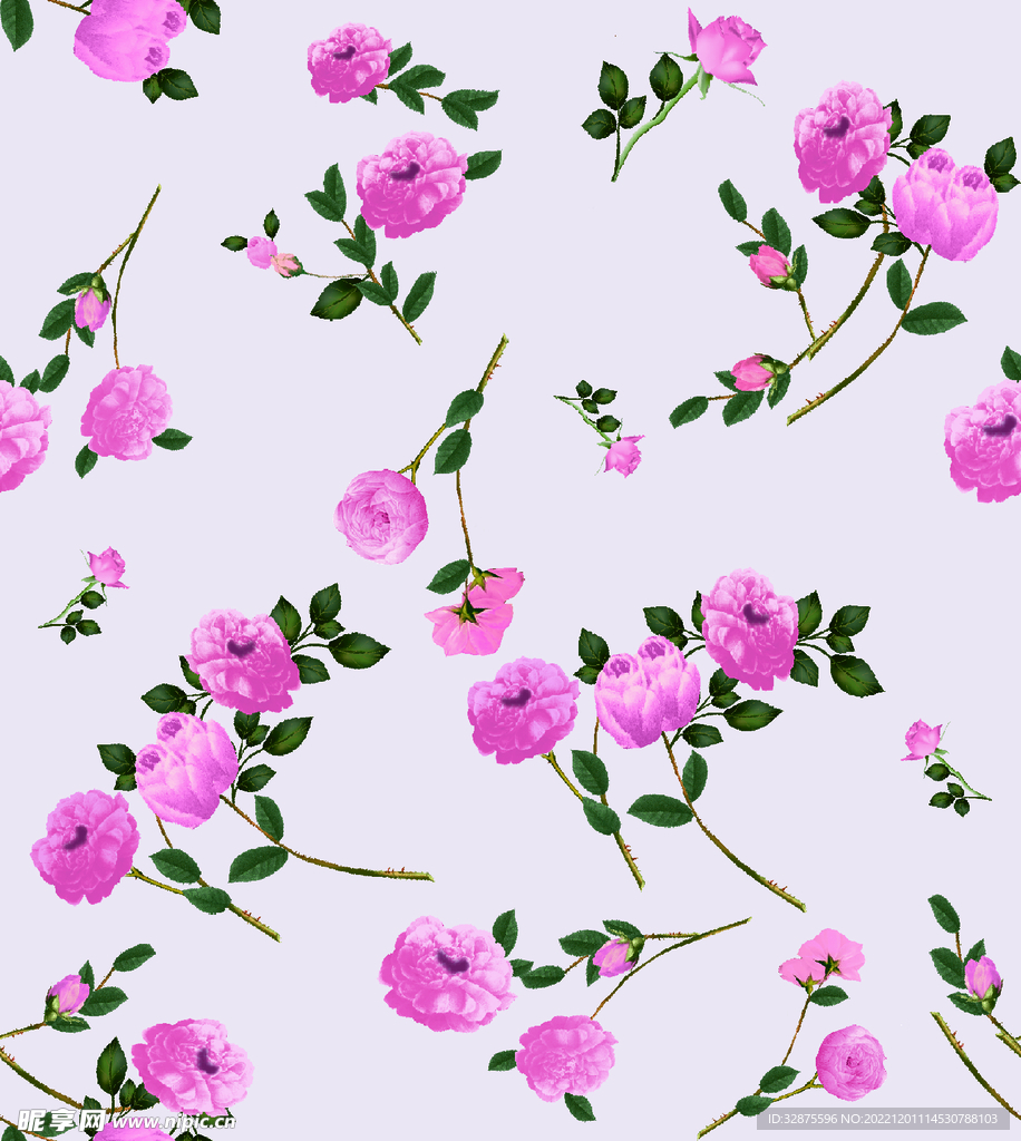 花卉 月季 大牌