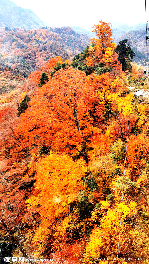 巴中光雾山风光