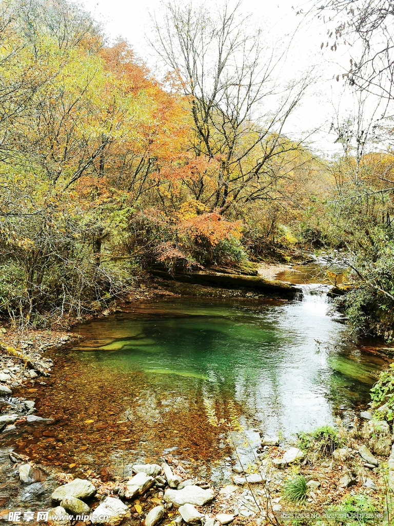 巴中光雾山风光