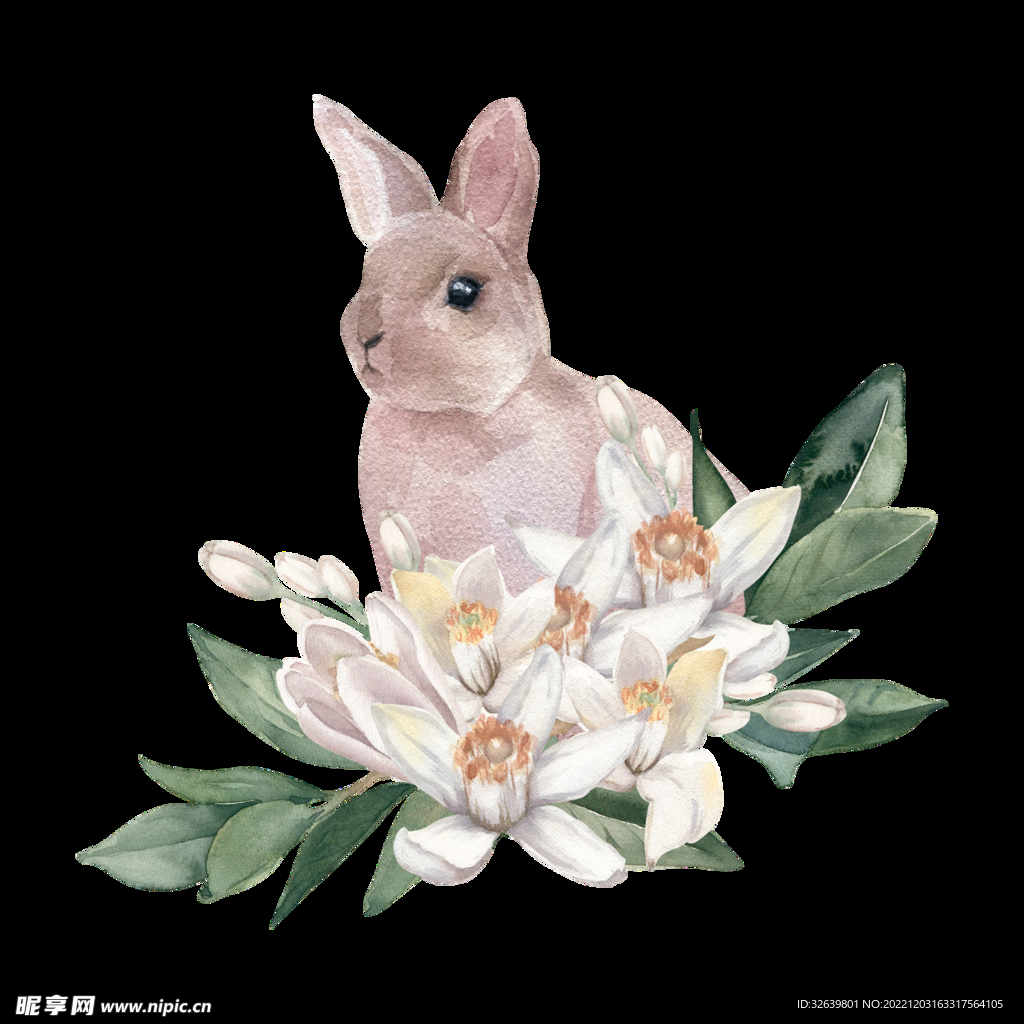 卡通兔子 