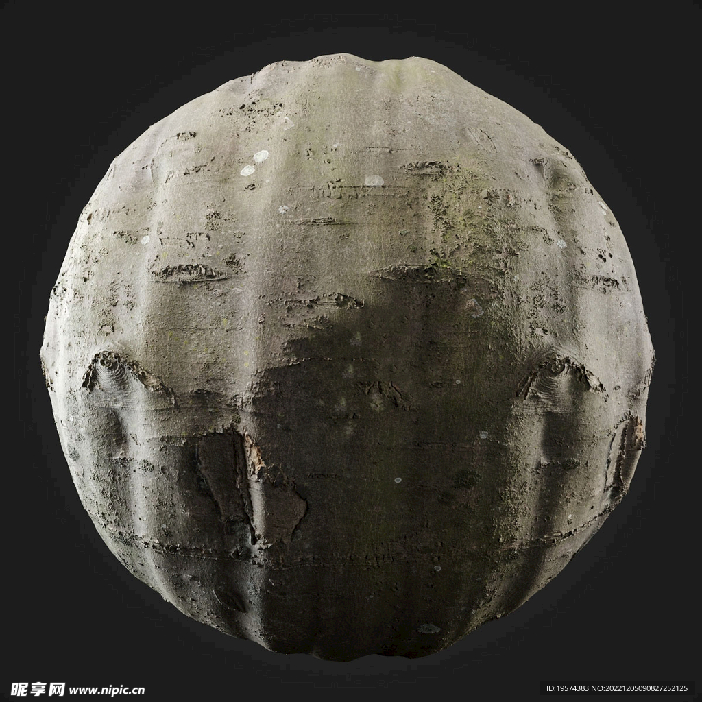  C4D模型 树皮