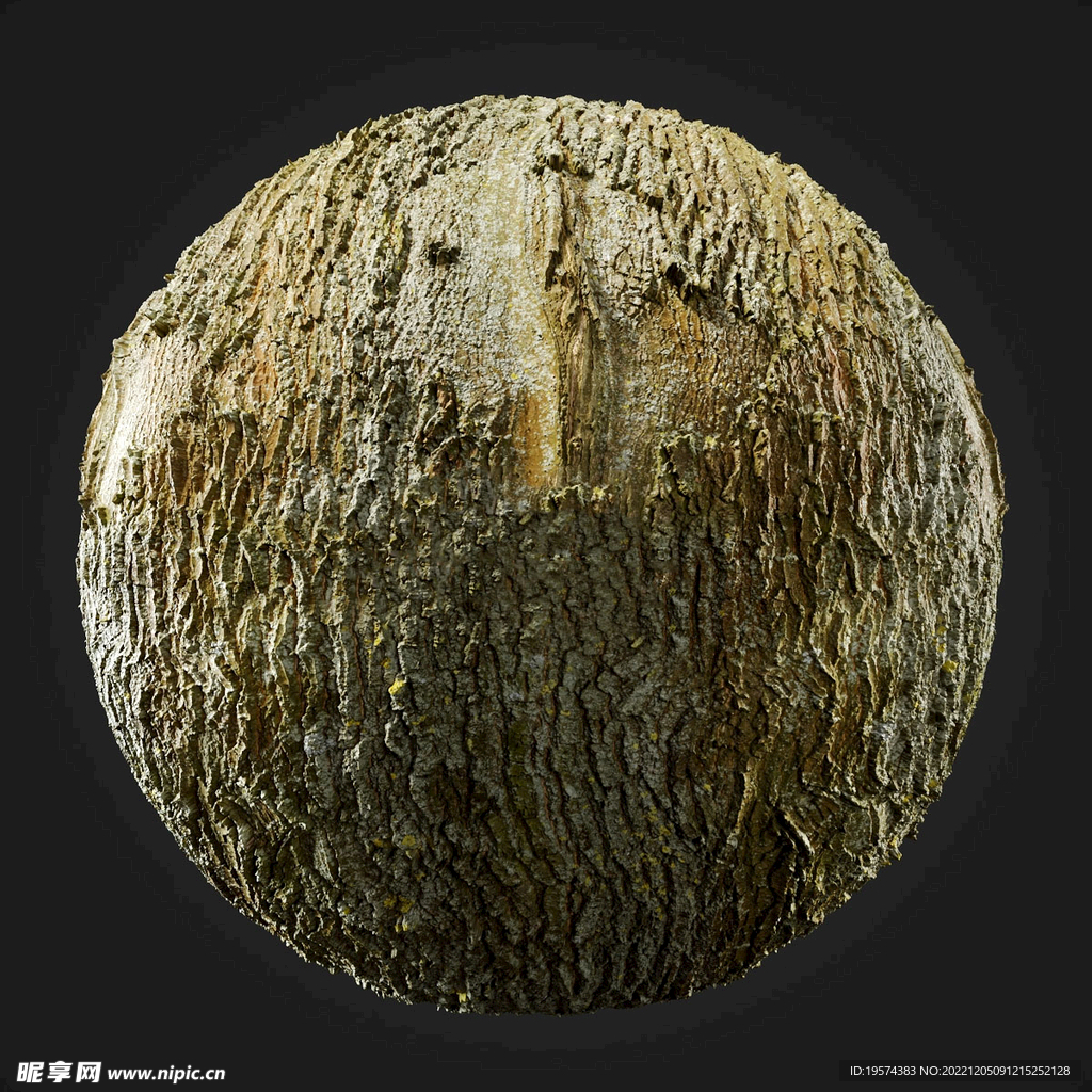  C4D模型 树皮
