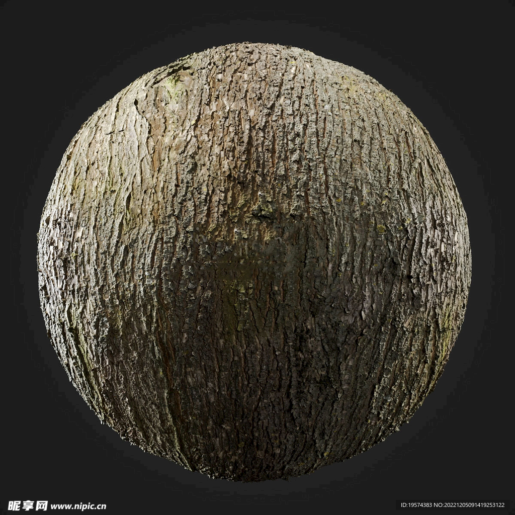  C4D模型 树皮