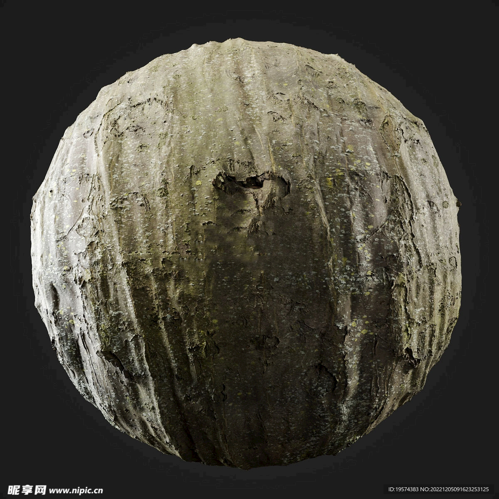   C4D模型 树皮
